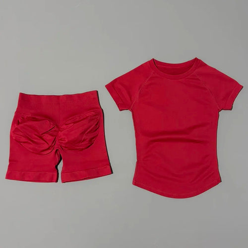 2 Piece Sports Set Women Gym Yoga Set Seamless Fitness Gym Clothes