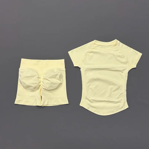 2 Piece Sports Set Women Gym Yoga Set Seamless Fitness Gym Clothes