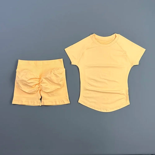 2 Piece Sports Set Women Gym Yoga Set Seamless Fitness Gym Clothes