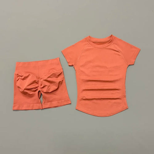 2 Piece Sports Set Women Gym Yoga Set Seamless Fitness Gym Clothes