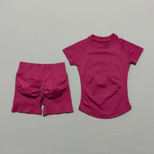 2 Piece Sports Set Women Gym Yoga Set Seamless Fitness Gym Clothes