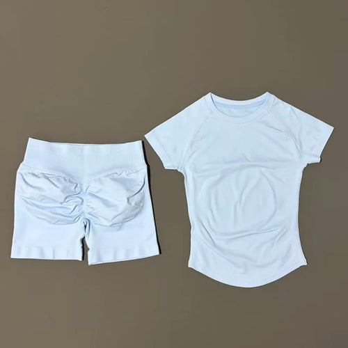 2 Piece Sports Set Women Gym Yoga Set Seamless Fitness Gym Clothes